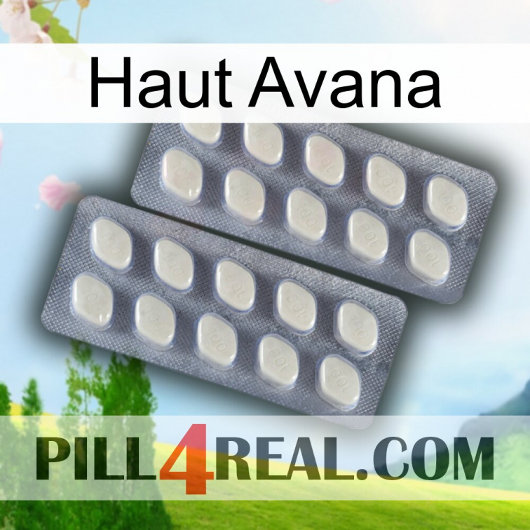 Top Avana 07